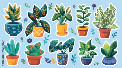 Plant in pot vector sticker illustration set.