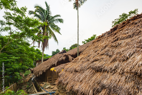 Original village thatched house in Chubao Village, Wuzhishan City, Hainan, China photo