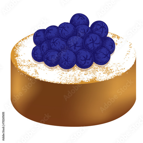 Fruitcake with blueberries