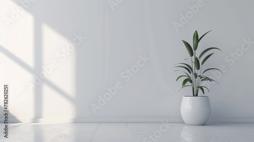 Single houseplant in a sleek pot 