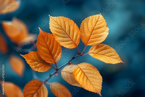 Autumn Harmony  Golden Leaves on Blue. Concept Nature s Canvas  Seasonal Splendor  Harmonious Hues  Tranquil Landscapes