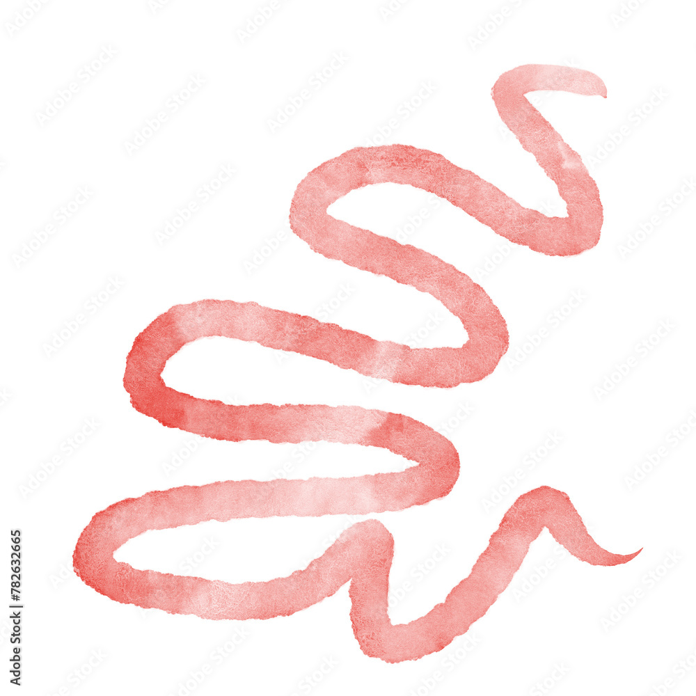 Watercolour Squiggly Lines Decorative Watercolour Squiggly Lines Decorative