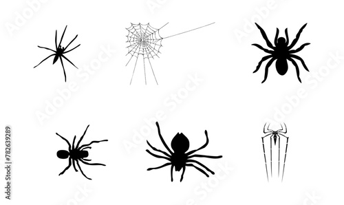 Aranea Spiders Vectors Icon Set © Vector Stock
