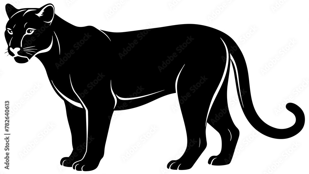 Obraz premium North American cougar vector illustration