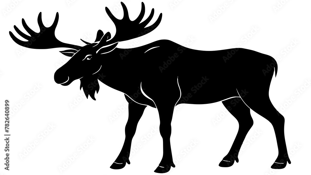 Fototapeta premium Moose vector art and illustration