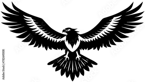 Photos American   osprey bird