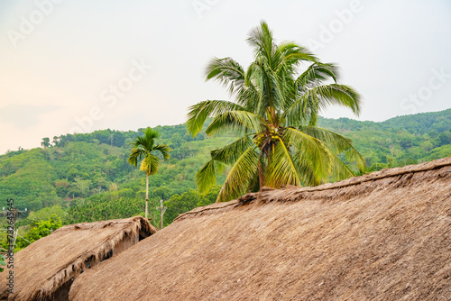 Original village thatched house in Chubao Village, Wuzhishan City, Hainan, China photo