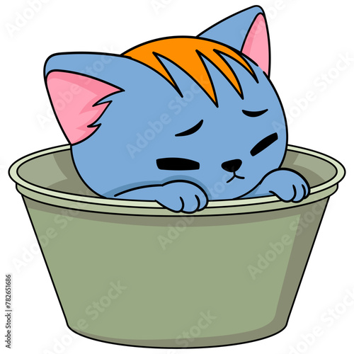 A blue pet kitten is soaking in a bucket © Popular Vector