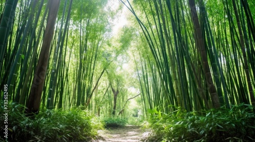 The road to the bamboo forest.AI generated image