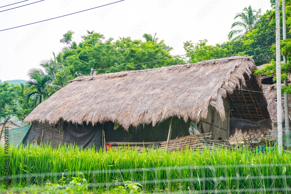 Original village thatched house in Chubao Village, Wuzhishan City, Hainan, China Original village thatched house in Chubao Village, Wuzhishan City, Hainan, China