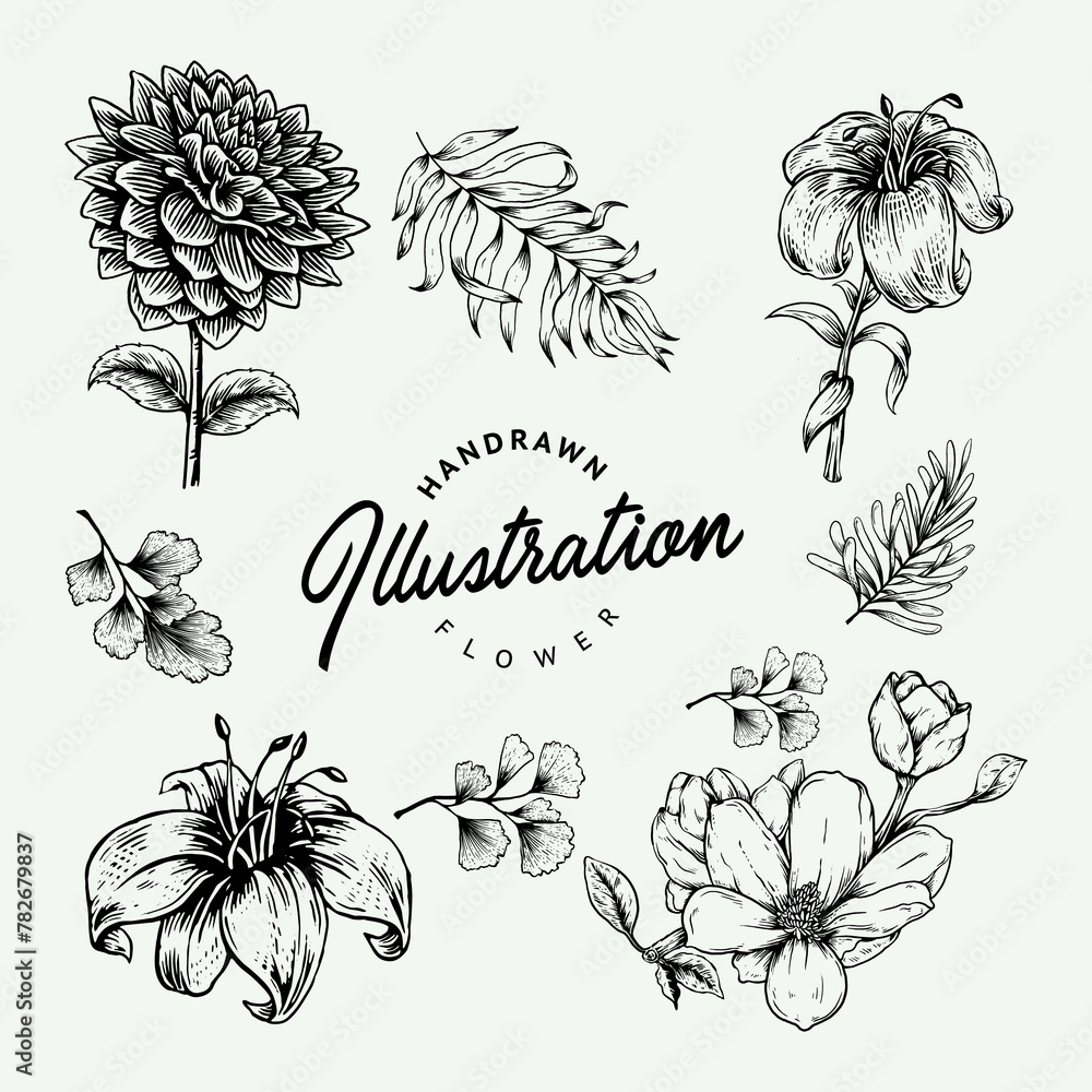 set of hand drawn flowers vector illustration  - obrazy, fototapety, plakaty 