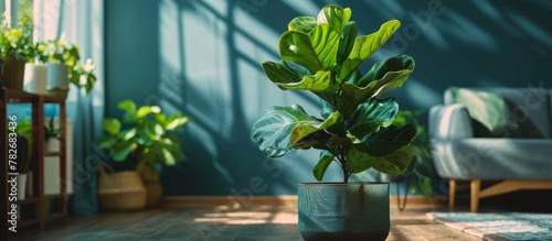 An indoor green plant in a pot placed on a wooden floor in a cozy room setting
