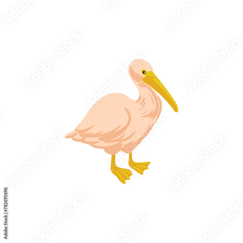 vector drawing pelican, wild bird isolated at white background, hand drawn illustration