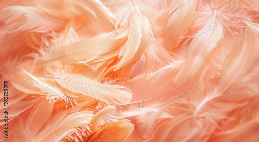 Feathers create a peach fuzz color background.