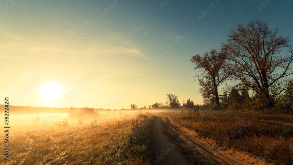 Rural landscape. Road to a field on a sunny foggy morning
