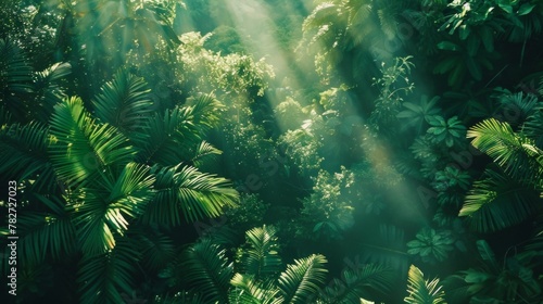 A lush green forest with tall trees and leaves