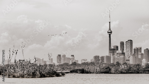 Photography toronto city skyline