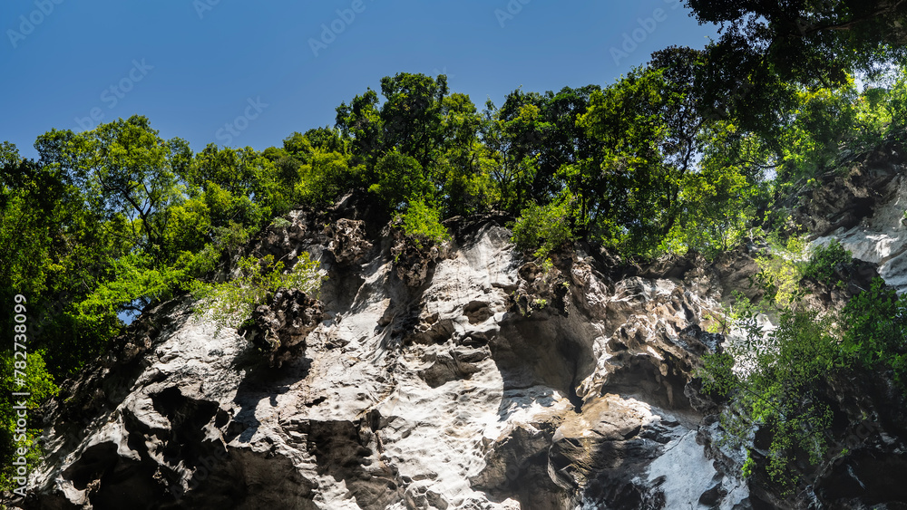 A fragment of a sheer cliff against the blue sky. Lush green tropical vegetation grows on the steep slopes. Malaysia. Kuala Lumpur. Batu caves