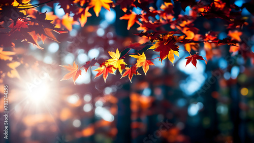 Autumn scene with maple leaves on blury background, Ai Generated  photo