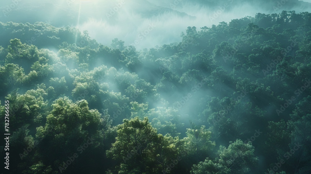 View Rainforest Background for International Day of Forests. The mystical nature of the rainforest. Beautiful nature landscape. View Rainforest Background for International Day of Forests. The mystical nature of the rainforest. Beautiful nature landscape.