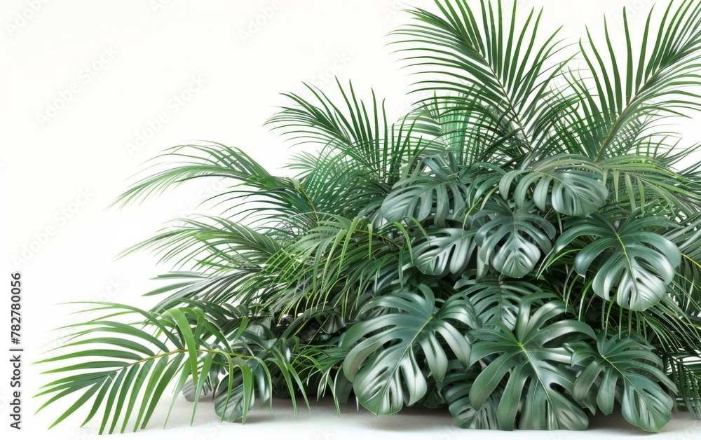 Green leaves isolated on white background and free copy space Green leaves isolated on white background and free copy space