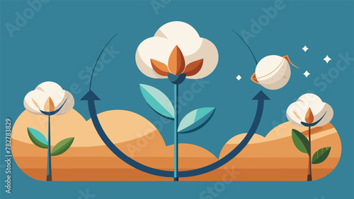The Green Trail Follow the Lifecycle of a Cotton Plant From EarthFriendly Cultivation to Ethical Clothing.
