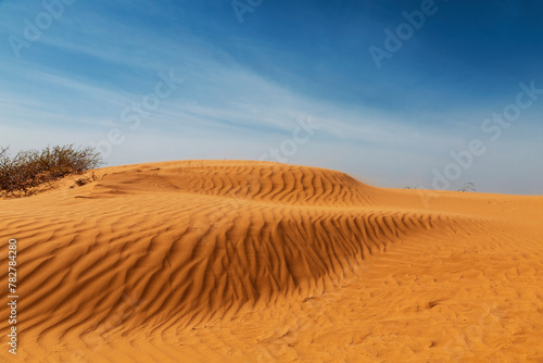 Scenic view of the dunes in the desert on a sunny summer day.