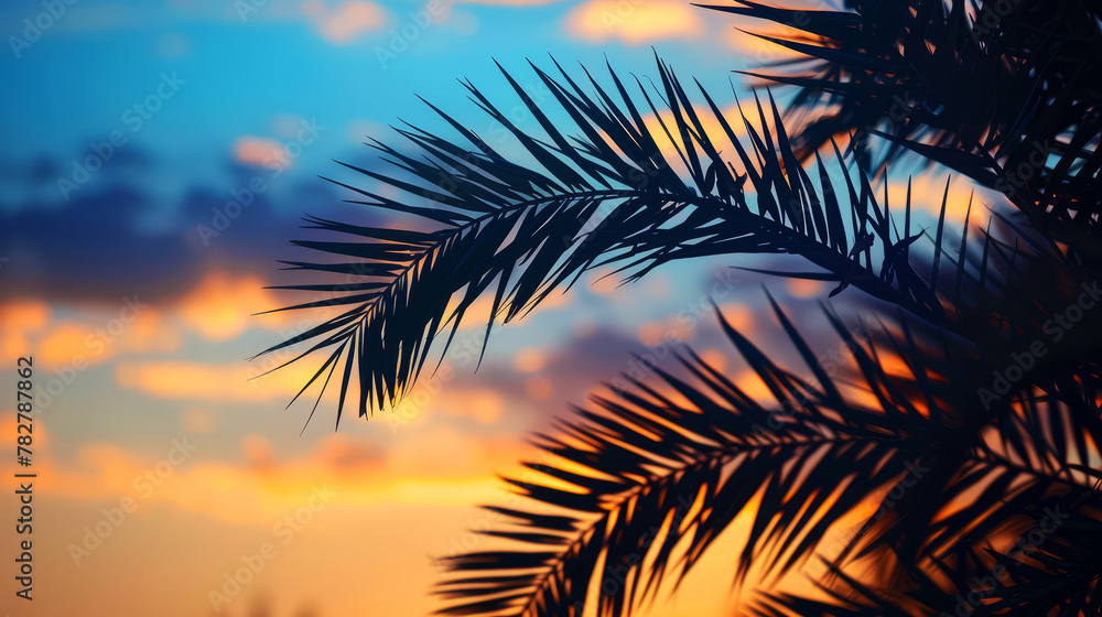 Silhouetted palm tree leaves against a sunset sky with vibrant orange and blue hues