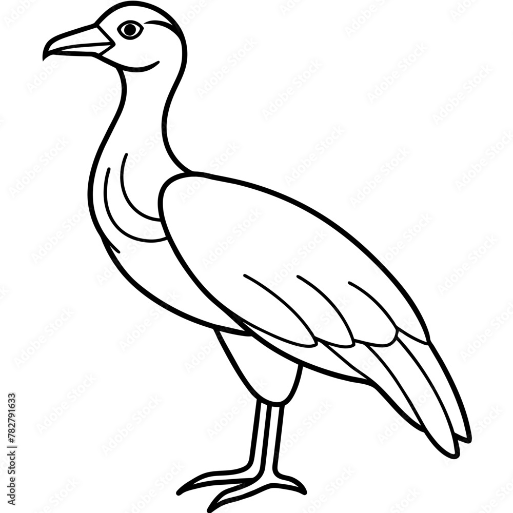 Fototapeta premium sketch of a bird