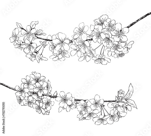 Spring tree flowers line art drawing background collection. vector illustration
