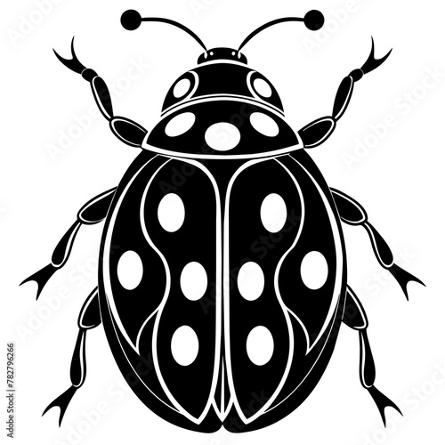 illustration of a ladybug