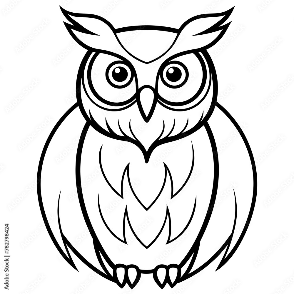 owl on white background owl on white background
