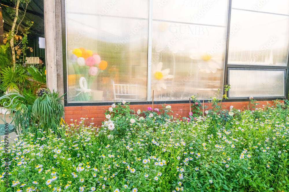 Facade of beautiful flower shop and rose flower garden,View of ornamental plants,Flower delivery and sale of indoor plants in pots, home plant,flower shop concept. Facade of beautiful flower shop and rose flower garden,View of ornamental plants,Flower delivery and sale of indoor plants in pots, home plant,flower shop concept.