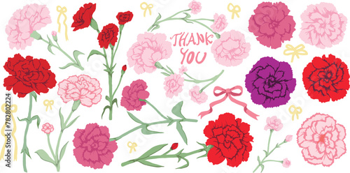 set of carnation vector drawing