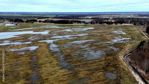 Wallpaper Mural Wetland Panorama In Kurzeme Region, Latvia, Europe. Aerial Shot Torontodigital.ca