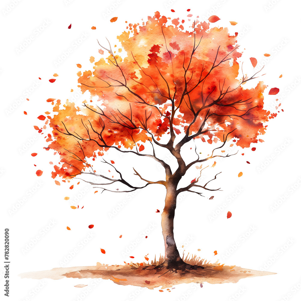 Autumn tree in watercolor style isolated on transparent background.