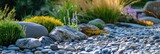 Carefully Curated Rock Garden with Harmonious Arrangement of Plants and Stones