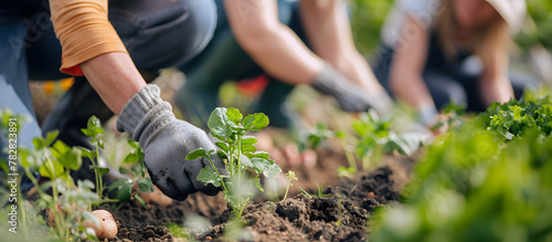 Close-up of a group of people planting small plants in a flowerbed. Team hands holding sprouts for farming in green business. Concept of gardening, ecology.