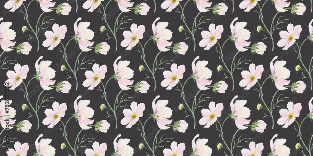 Print of pink and white Cosmea flowers. Cosmos bipinnatus. Hand drawn watercolor seamless pattern of Mexican aster. Summer floral background for wedding design, textiles, wrapping paper, scrapbooking Print of pink and white Cosmea flowers. Cosmos bipinnatus. Hand drawn watercolor seamless pattern of Mexican aster. Summer floral background for wedding design, textiles, wrapping paper, scrapbooking