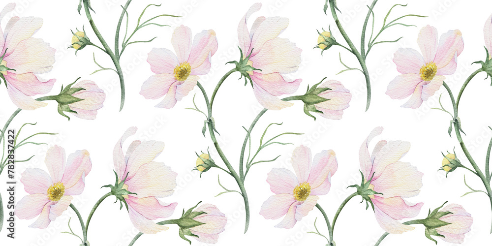 Print of pink and white Cosmea flowers. Cosmos bipinnatus. Hand drawn watercolor seamless pattern of Mexican aster. Summer floral background for wedding design, textiles, wrapping paper, scrapbooking Print of pink and white Cosmea flowers. Cosmos bipinnatus. Hand drawn watercolor seamless pattern of Mexican aster. Summer floral background for wedding design, textiles, wrapping paper, scrapbooking