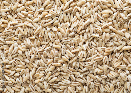 Dry raw organic healthy oat grain seeds textured background.Macro.