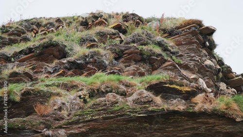 The terrain comprised of chipped rock is covered with grass and dotted with small flowers. photo