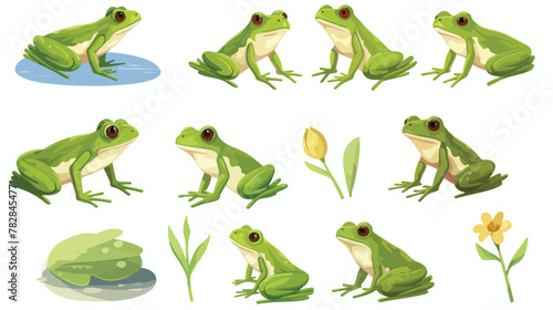 Cute frog in different poses flat character set. Ca