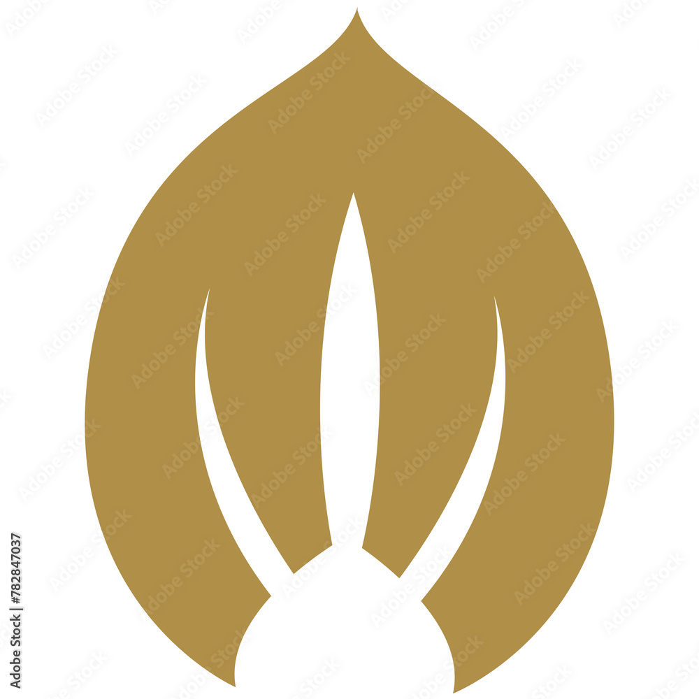 Thai Art traditional asian luxury line art, Thai Pattern flat illustration	
