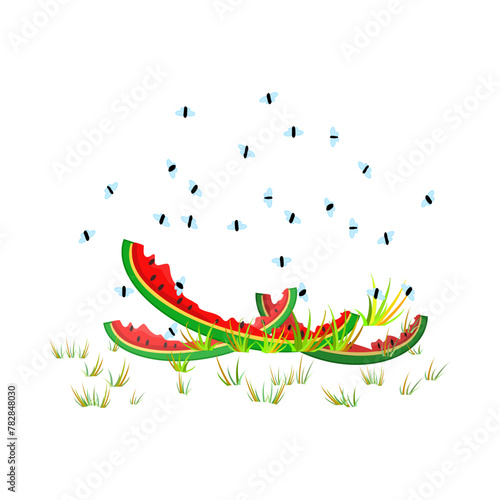 Fruit flies and watermelon peel. Drosophila melanogaster. Insect swarming around food scraps. Flies flying above peeled melon in grass. Organic waste or kitchen leftovers and pest. Vector illustration
