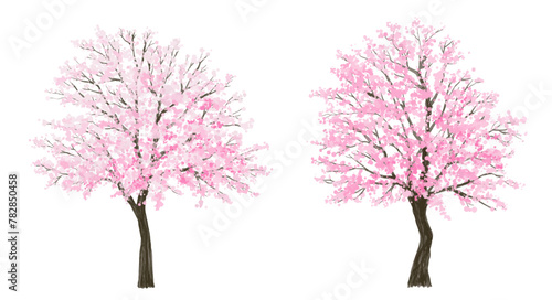  Vector watercolor blooming flower tree or forest side view isolated on white background for landscape and architecture drawing,elements for environment or and garden,Sakura tree for section 