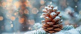 Snow-covered pine cone, close up, winter serenity, crisp detail, soft background