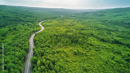 A bird's-eye shot of a sprawling green forest with a highway road winding through its heart, emphasizing the forest as a natural carbon sink. 