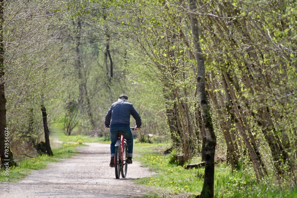 Obraz premium old man on a bike along a natural path of a park