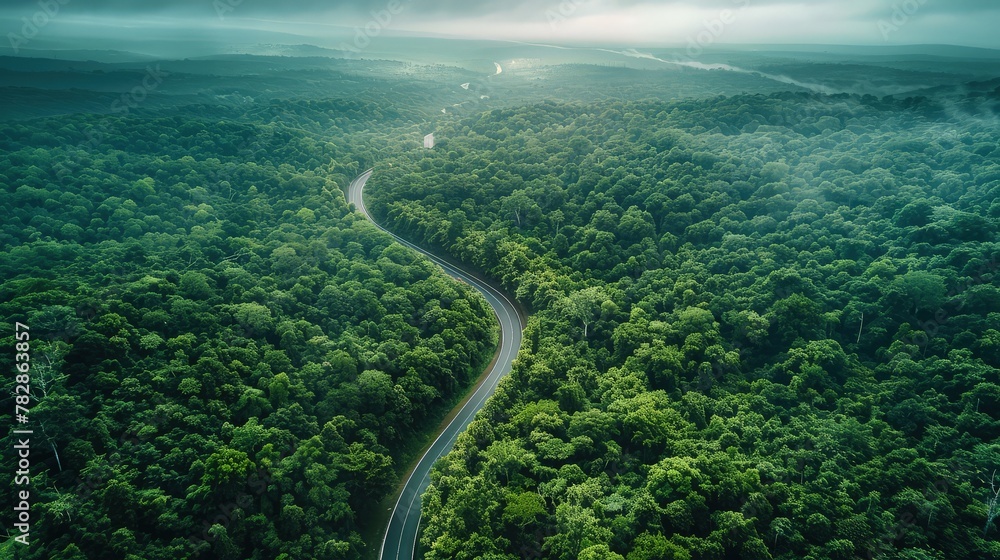 A sweeping aerial shot of a sprawling, deep green forest with a snaking highway road, emphasizing the ecological importance of trees in absorbing CO2. 